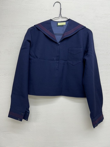  �_�ސ쌧�@�k���q���q�w���̓~���Z�[���[���@�����������@3054