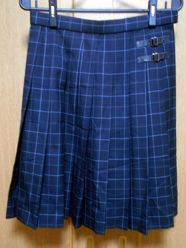 ���ꌧ �F���ėz���Z �����`�F�b�N 69-56 �~�� ���� �X�J�[�g �ԂЂ�18�{