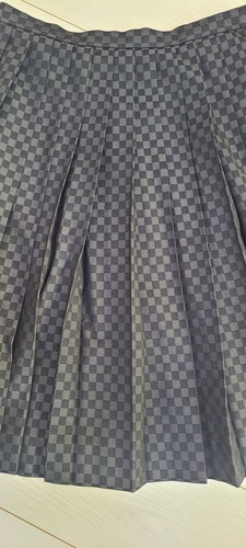 �����s �������q��񒆊w���Z�̃O���[�n�u���b�N�`�F�b�N�X�J�[�g�I�I