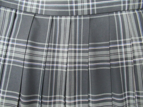 ������ 0246�@460�@�傫�ȃT�C�Y�I���^���Z ���ʉ� �~�X�J�[�g ��+�O���[�{���F �`�F�b�N��