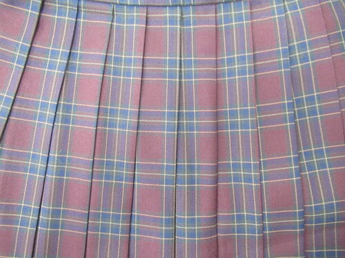 [�s��] 0248�@440�@�~�X�J�[�g SCHOOLTIGER�� ���{��+�x�[�W�� �`�F�b�N��