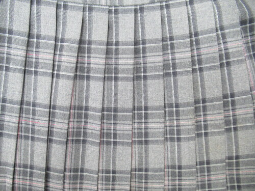 [�s��] 0249�@540�@�~�X�J�[�g HELLOSTUDENT �O���[�{���{�s���N �`�F�b�N��