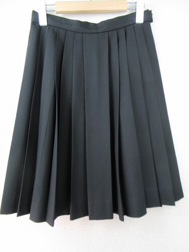 �������� 0255�@480�@���������S���q�w�� �~�X�J�[�g ���n