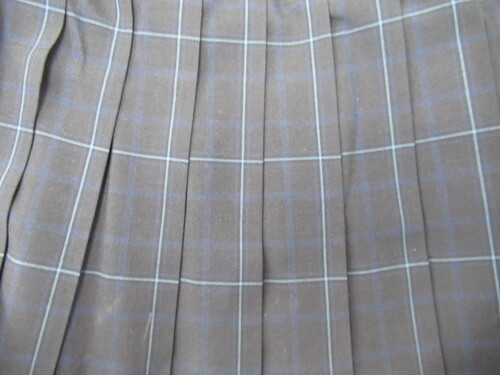 [�s��] 0266�@360�@�ăX�J�[�g VARSITYMATE TOMBOW ���{���{�O���[ �`�F�b�N��