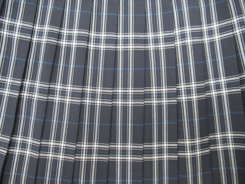 [�s��] 0267�@420�@�ăX�J�[�g ���{�n�{�� �`�F�b�N��