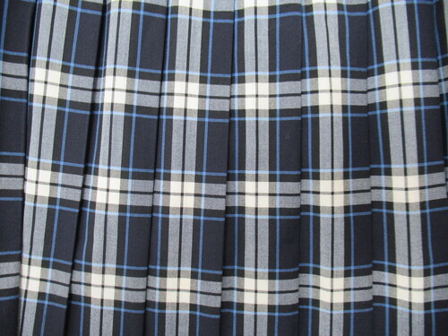 [�s��] 0271�@390�@�傫�ȃT�C�Y�I�ăX�J�[�g ���{���{���F �`�F�b�N��