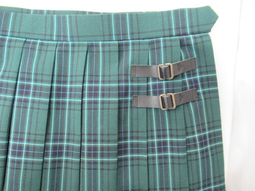 ������ 0273�@380�@�F�����ƍ��Z �ăX�J�[�g �΁{���{���F �`�F�b�N��