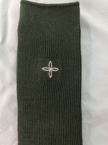 �_�ސ쌧 �֓��w�@�Z�Y�����w�Z�@���q�w��\�b�N�X�@�C���@�΁@�V�i