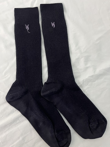 �_�ސ쌧 ���l���������w�Z�@���q�w��\�b�N�X�@�C���@��