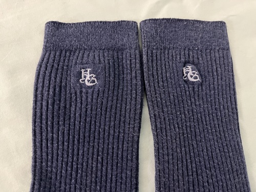 �É��� �l���w�|�����w�Z�@���q�w��\�b�N�X�@�C���@���邢�F