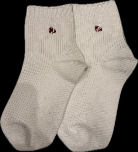 ������ �������q���w�Z�@���s�@�w��\�b�N�X22-24�Z���`