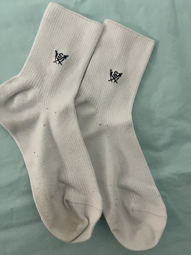 �����s ������w�������������w�Z�@���q�w��\�b�N�X�@�C���@��