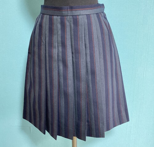 [�s��] 4-53���X�g���C�v�̓~�X�J�[�g�y���n�t�z�@�E�G�X�g69�`72����