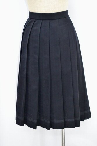  �Z��ʌ� �דc�w�������w�Z �ăX�J�[�g ����5155