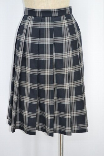  �Z��size W77 ��t�� �����w�@�����w�Z �~�X�J�[�g ����5158