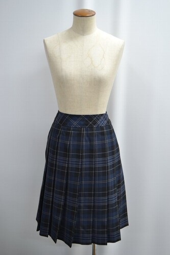  �Z�����s�� ���������w�Z �������w�Z �ăX�J�[�g ����6307