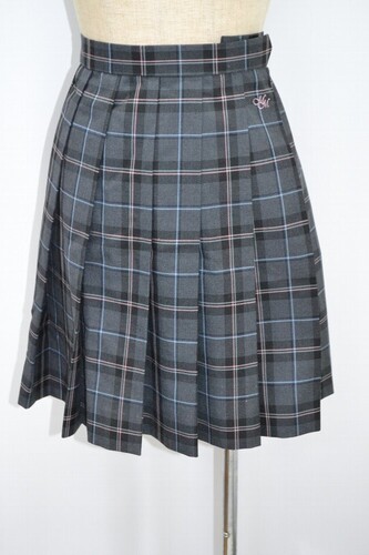  �Z�����s�� �������R�����w�Z �~�X�J�[�g ����5159