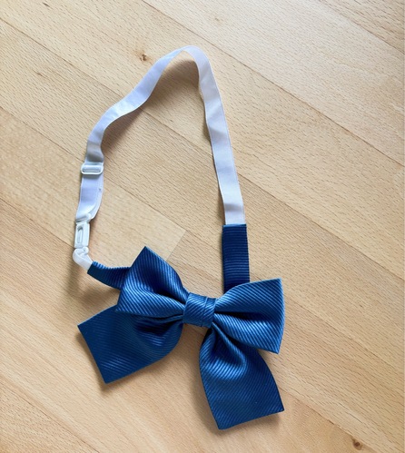 �_�ސ쌧 �_�ސ쌧���V�h�����w�Z �w�胊�{�� �w��i ���K�i �u��115�v