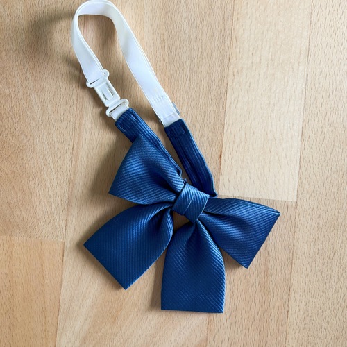 �_�ސ쌧 �_�ސ쌧���V�h�����w�Z �w�胊�{�� �w��i ���K�i �u��153�v