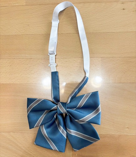 �_�ސ쌧 �_�ސ쌧���V�h�����w�Z �w�胊�{�� �w��i ���K�i �u��337�v