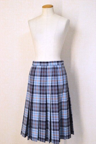  ����ʌ� ���a�w�������w�Z �Ǖ��`�F�b�N�ăX�J�[�g��T6214