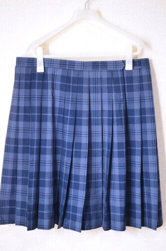  ������size W91 ��ʌ� �ӂ��ݖ�s����䒆�w�Z �ăX�J�[�g��T6209