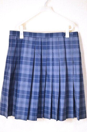  ������size W90 ��ʌ� �ӂ��ݖ�s����䒆�w�Z �~�X�J�[�g��T6215