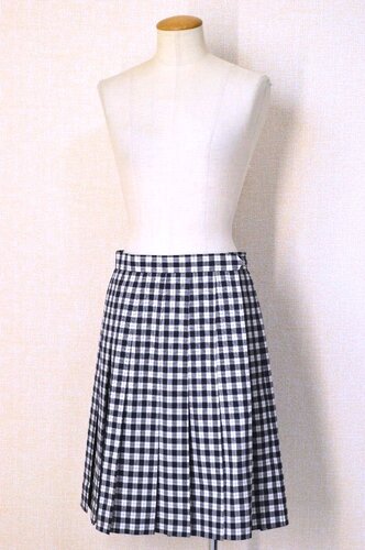  �������s ���؏��w�@�����w�Z ���ăX�J�[�g �n�i�G������T6224