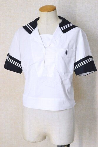  ���_�ސ쌧 ���l�����w�����w�Z�E�����w�Z �Z�[���[�ĕ��ざT6227