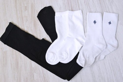  ���_�ސ쌧 ���l�����w�����w�Z�E�����w�Z �w��\�b�N�X ����T6228