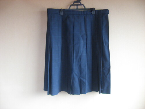 ��錧 �������ˑ�񍂍Z�@�ăX�J�[�g�i���C�h�T�C�Y�ł��j