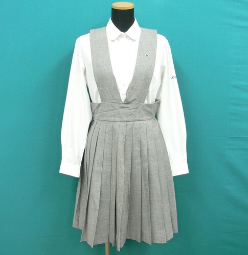 �ޗǌ� #1915�@�s����a�w���t�����u���E�X�ƃ`�F�b�N�̉ėp�W�����p�[�X�J�[�g�@�T�C�YM