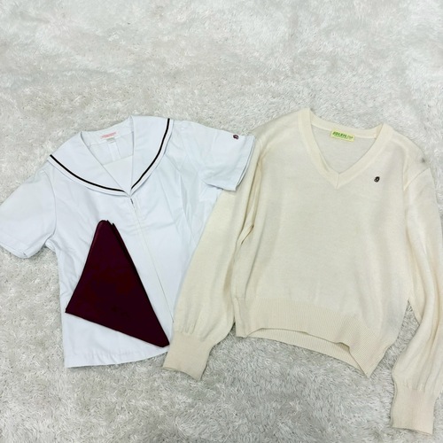 ��錧 ��錧 �푍�w�@���Z ���q���� �����Z�[���[ �Z�[�^�[ �X�J�[�t S 3�_