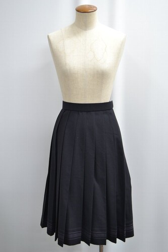  ���R������ �b�{���ƍ����w�Z �ăX�J�[�g ��SA6005