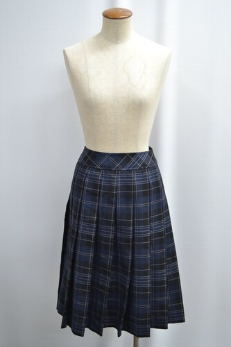  �Z�����s�� ���������w�Z �������w�Z �~�X�J�[�g ����6309