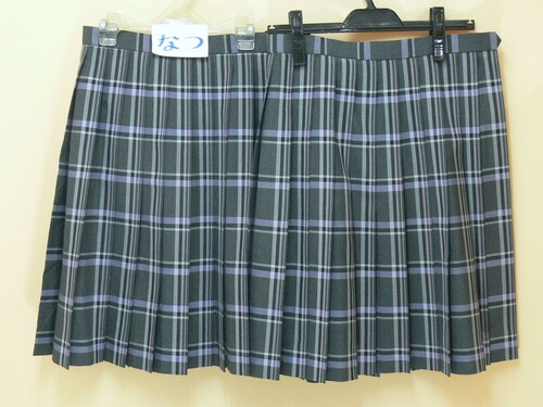 ���{ ��106�����֐���w�������@�`�F�b�N���@�i�q���@�v���[�c�X�J�[�g�@�ăX�J�[�g