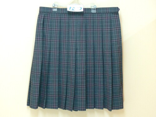 [�s��] ��107��������T�C�Y�I�@�O���[�`�F�b�N���@�D�F�i�q���@�v���[�c�X�J�[�g