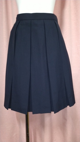 [�s��] No.141  �{�b�N�X�~�j�X�J�[�g �s���ĕ���