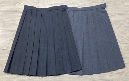 ���Ɍ� 4-57���{���w�����Z���O���[�n�`�F�b�N�̓~�ăX�J�[�g�Z�b�g