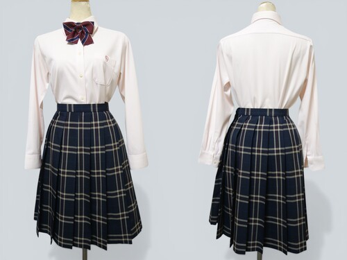 ���Ɍ� 550�����Ɍ��� ��˓����Z�������u���E�X���`�F�b�N�X�J�[�g�i�āj�w�胏���^�b�`���{����L�EW75