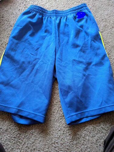 ���茧 ���茧���w�Z���q�̑���