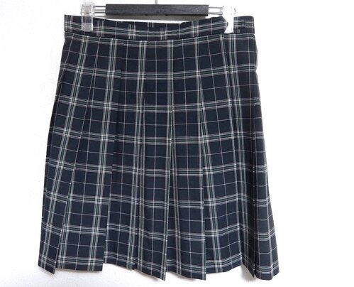 �����s �傫���T�C�Y�I�s�����c�J�������Z ���q�����@�ăX�J�[�g/w75-47�Fm2354