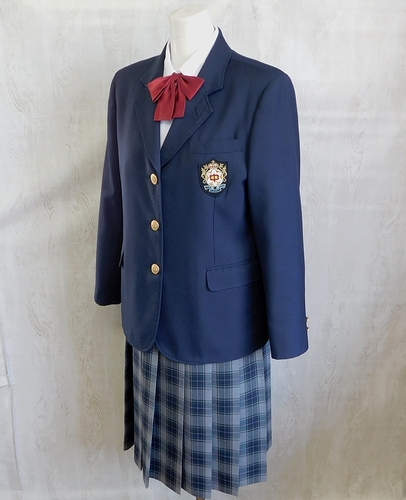  ���F�{�� �F��s���O�p���w �傫�ߓ~������