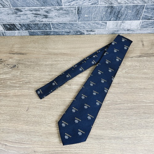 ���{ �y���i�z���{��3�ʂ̐i�w�Z�@���{���@�V�������Z�@�l�N�^�C