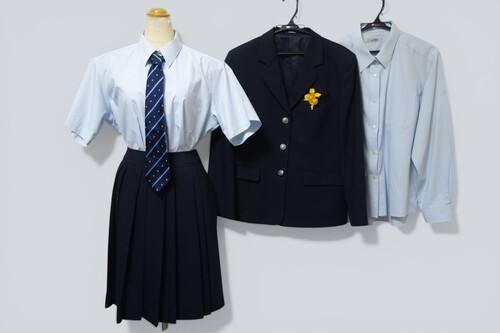 ���{ 552�����{�� ���c�����Z���i����j�u���U�[�E�ăX�J�[�g�E�u���E�X�E�w��l�N�^�C/�ē~5�_��BL�EW80