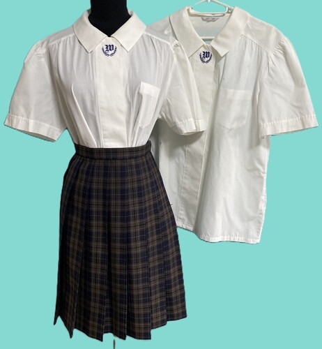 �a�̎R�� 4-87���a�̎R�����@�a�̎R���Z�������u���E�X2���ƃ`�F�b�N�̓~�X�J�[�g�Z�b�g�@�T�C�YLL