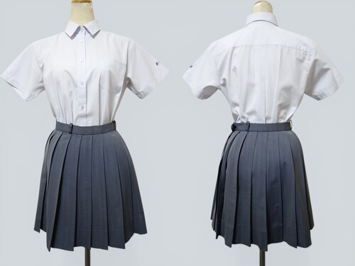 ���{ 559����㏗�w�@���w�E���Z�������u���E�X���O���[�w�����{�[�����v���[�c�X�J�[�g�i�āj��W66