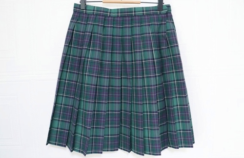 ��t�� ���� ���a�w�@���Z ������ �ĕ� �`�F�b�N�X�J�[�g �E�G�X�g�V�W