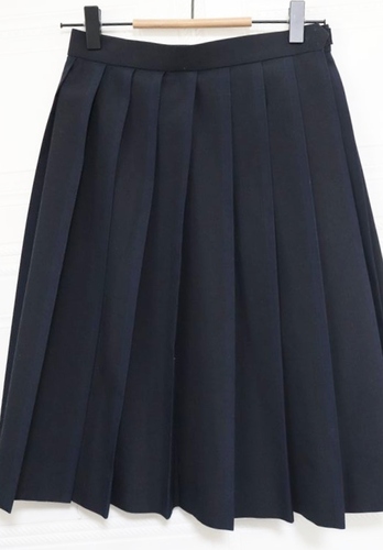 �����s ���� �������q���Z ���� �ĕ��X�J�[�g �j�R�� 