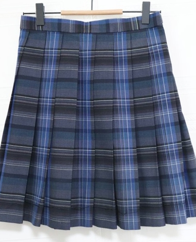 �����s ���� �]�ː쏗�q���w���Z ���� �ĕ� �`�F�b�N�X�J�[�g